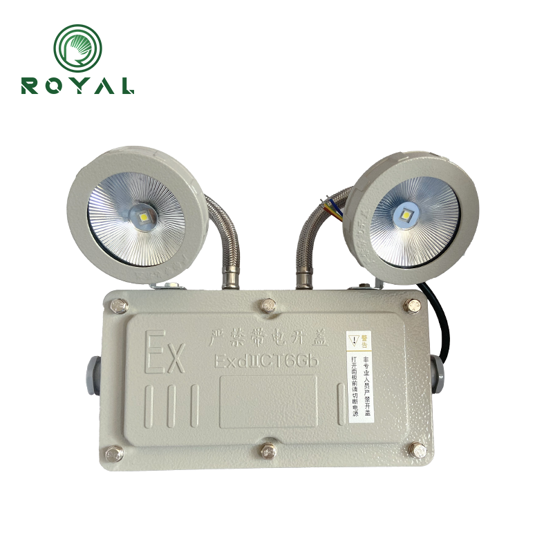 Explosion Proof Emergency Light