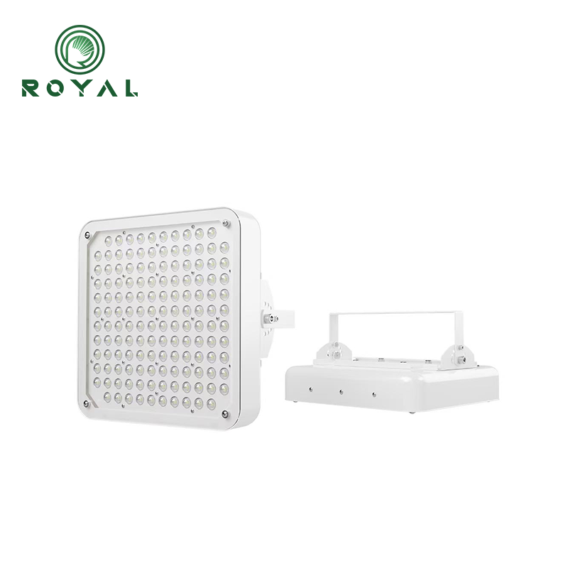 Gas station lighting Canopy lighting