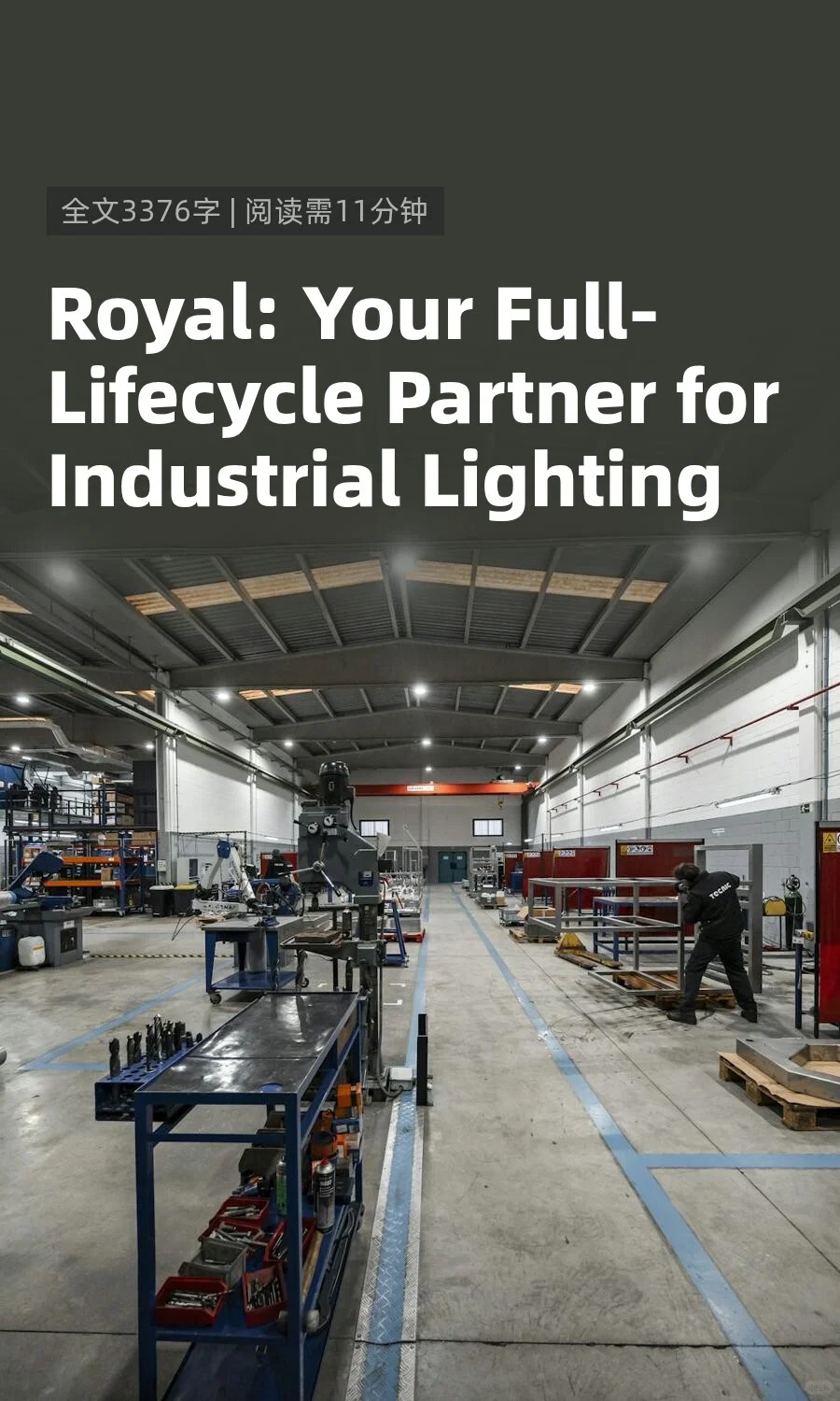 Royal Lighting: More Than Just Selling Lamps—We Are Your Full-Lifecycle Partner for Industrial Lighting