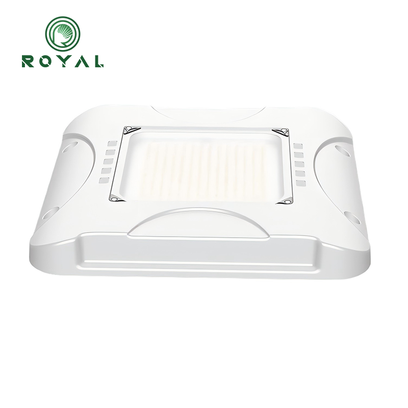 New Launch from ROYAL! ROF09-A Series LED Gas Station Lights: Reshaping Gas Station Lighting Standards with Explosion-Proof Safety and Long-Lasting Durability
